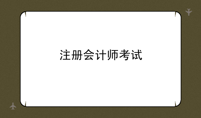 注册会计师考试