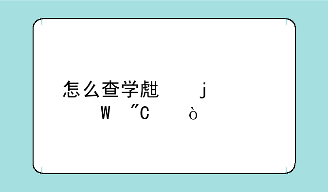 怎么查学生的考试成绩？