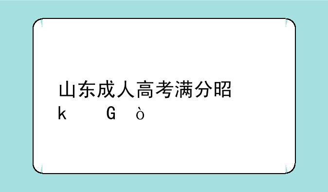 山东成人高考满分是多少？