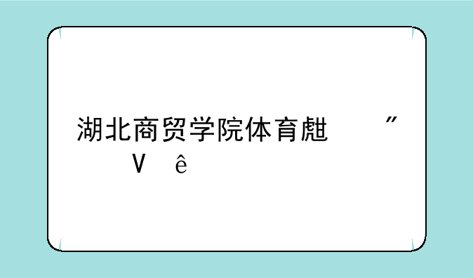 湖北商贸学院体育生分数线