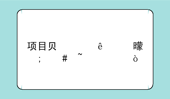 项目负责人证书怎么查询？