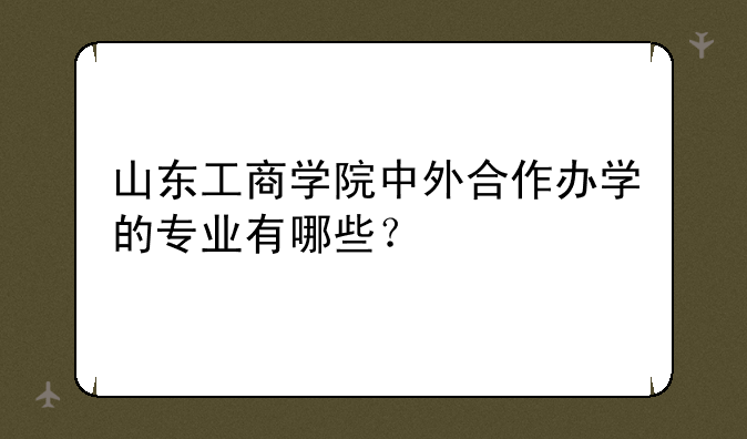 山东工商学院中外合作办学的专业有哪些？