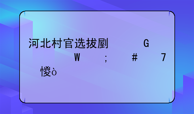河北村官选拔副科考试怎么复习？