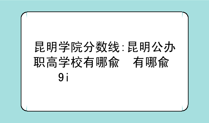 昆明学院分数线:昆明公办职高学校有哪几所