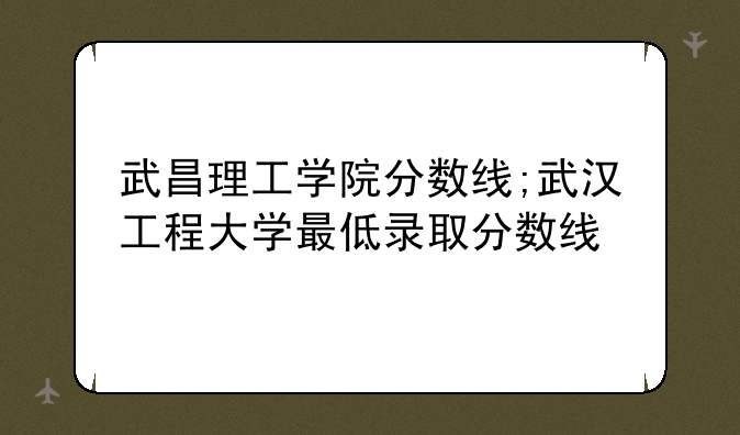 武昌理工学院分数线;武汉工程大学最低录取分数线