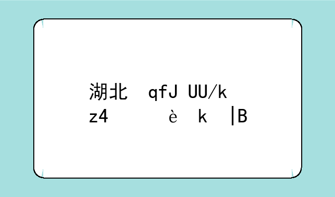 湖北自考毕业申请——湖北自考毕业申请被驳回,只能下次再申请毕业吗?